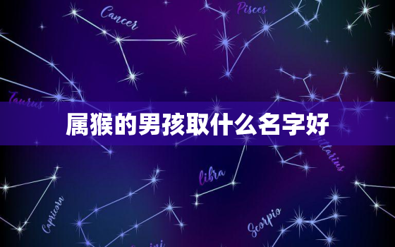 属猴的男孩取什么名字好(如何选择适合猴年出生的男孩名字)