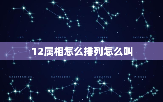 12属相怎么排列怎么叫(十二生肖的排列顺序及名称解析)