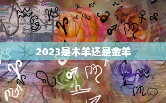 2023是木羊还是金羊(解析2023年属羊的干支纪年是什么)