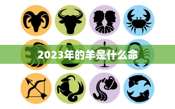 2023年的羊是什么命(解读属羊人的未来运势如何)