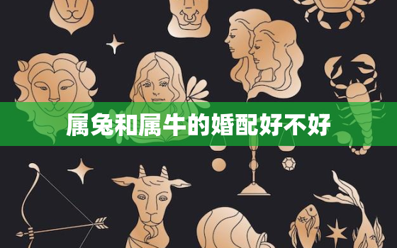 属兔和属牛的婚配好不好(星座配对分析)