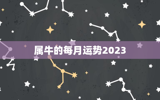 属牛的每月运势2023(2023年属牛人的12星座运势预测)