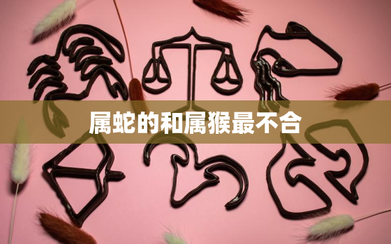 属蛇的和属猴最不合(为什么这两个属相总是互相抵触)