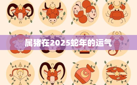 属猪在2025蛇年的运气(大好机会财运亨通)