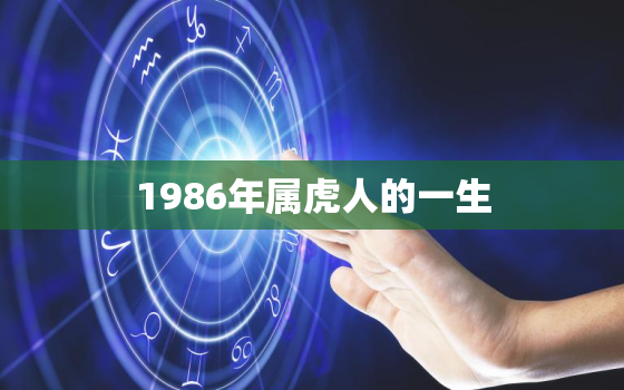 1986年属虎人的一生(命运多舛坚韧不拔最终获得成功)