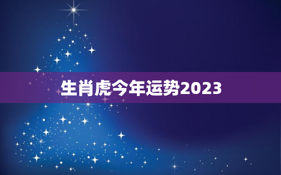 生肖虎今年运势2023(大展宏图财源滚滚来)