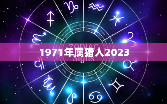 1971年属猪人2023(猪年大运开启属猪人事业财运双丰收)