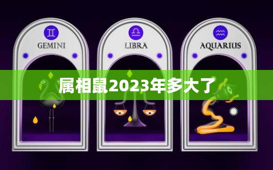 属相鼠2023年多大了(你的鼠年生肖年龄是多少)