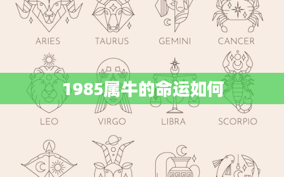 1985属牛的命运如何(探寻属牛人在2023年的运势)