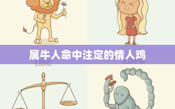 属牛人命中注定的情人鸡(牛与鸡的爱情奇遇记)