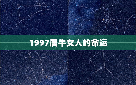 1997属牛女人的命运(未来之路挑战与机遇)