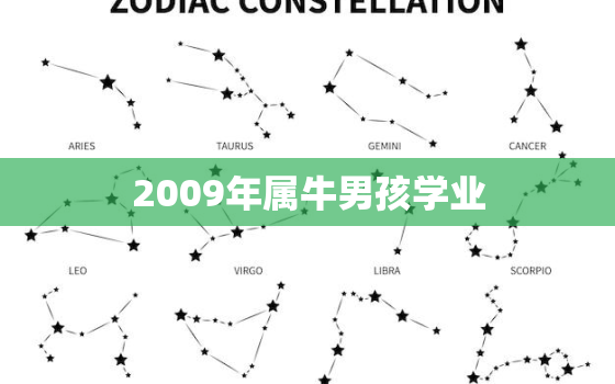 2009年属牛男孩学业(优秀成绩背后的努力与坚持)