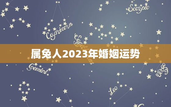 属兔人2023年婚姻运势，2023年属兔人的感情和婚姻