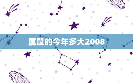 属鼠的今年多大2008(你的鼠年运势如何)