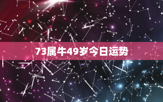 73属牛49岁今日运势(牛年运势大好财运亨通)