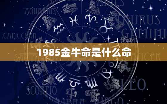 1985金牛命是什么命(解析性格特点、财运、婚姻、事业)