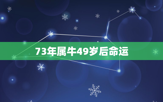 73年属牛49岁后命运(如何转运)