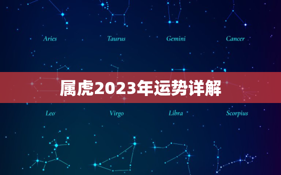 属虎2023年运势详解(猛虎崛起财源滚滚来)
