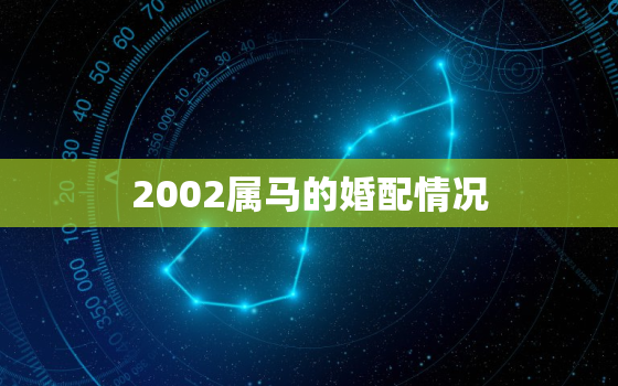 2002属马的婚配情况(如何选择最佳配偶)