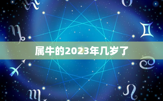 属牛的2023年几岁了(牛年人的年龄计算方法详解)