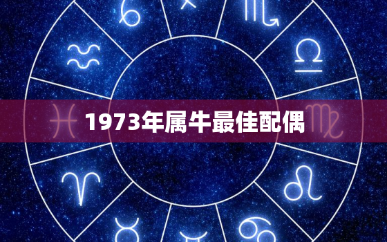 1973年属牛最佳配偶(如何选择最适合你的伴侣)