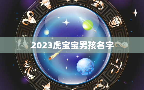 2023虎宝宝男孩名字(独具匠心的命名灵感)