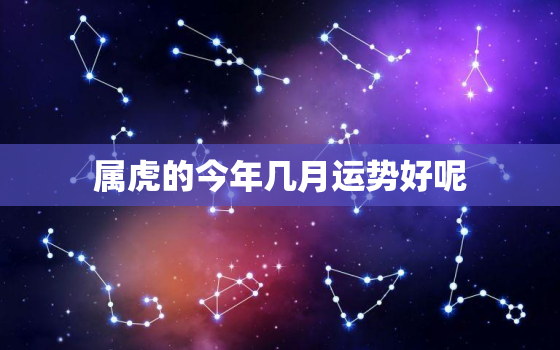 属虎的今年几月运势好呢(解析2023年属虎人的运势走势)