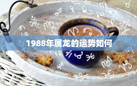 1988年属龙的运势如何(探寻事业顺利财运亨通)