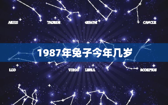 1987年兔子今年几岁(回顾兔年人的命运与特质)