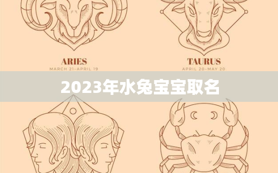 2023年水兔宝宝取名(如何选择最佳名字)