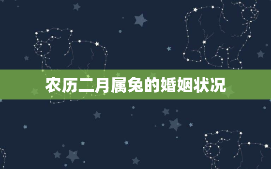 农历二月属兔的婚姻状况(幸福美满还是多变不定)