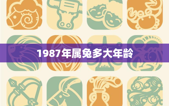 1987年属兔多大年龄(你知道吗)