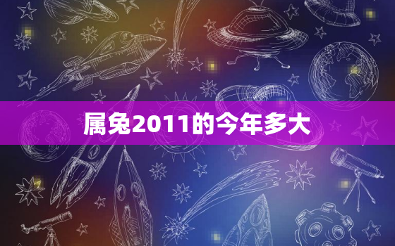 属兔2011的今年多大(2023年属兔人的年龄计算方法)