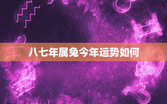 八七年属兔今年运势如何(兔子们的2023运势大揭秘)