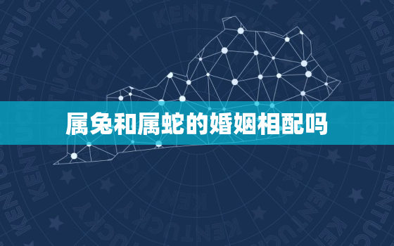 属兔和属蛇的婚姻相配吗(解析属相配对的奥秘)