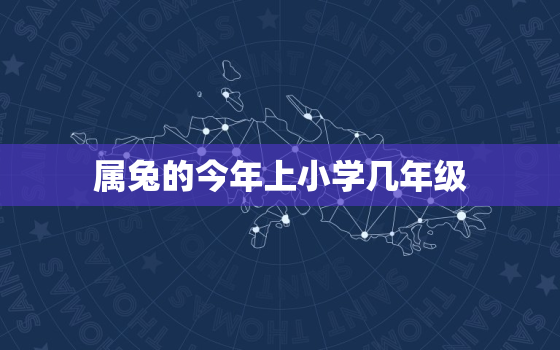 属兔的今年上小学几年级(如何选择适合孩子的学习阶段)