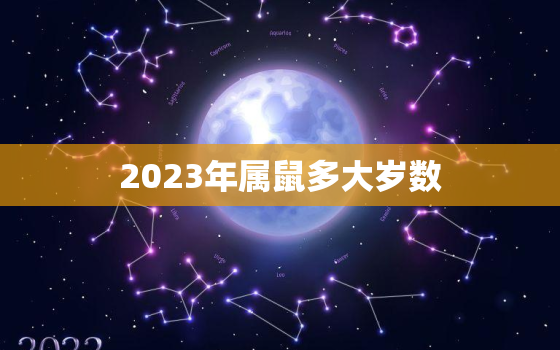 2023年属鼠多大岁数(届时属鼠人将迎来几何)