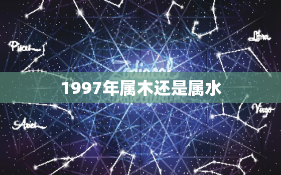 1997年属木还是属水(解析属相与五行的关系)