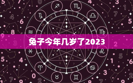 兔子今年几岁了2023(如何计算兔子的年龄)