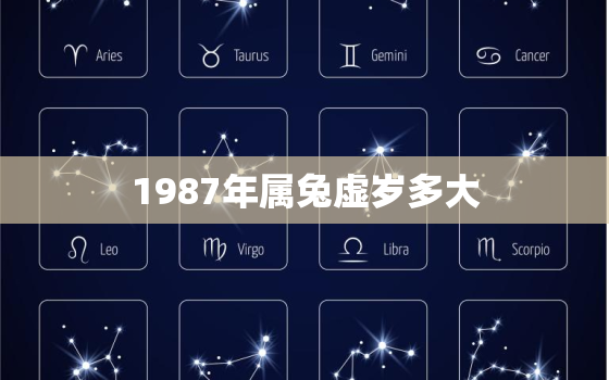 1987年属兔虚岁多大(如何计算属兔人的虚岁)