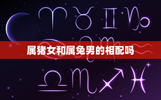 属猪女和属兔男的相配吗(星座配对分析)