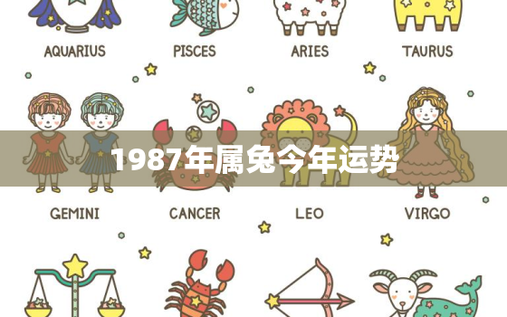 1987年属兔今年运势(兔年大吉财运亨通)