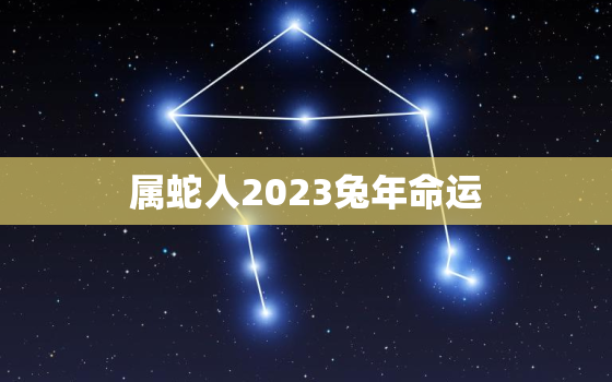 属蛇人2023兔年命运(如何应对未来的挑战)