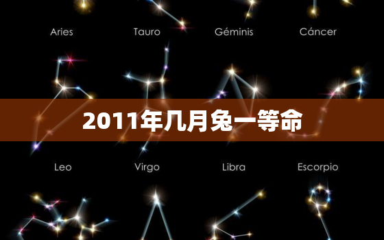 2011年几月兔一等命(兔年好运连连)