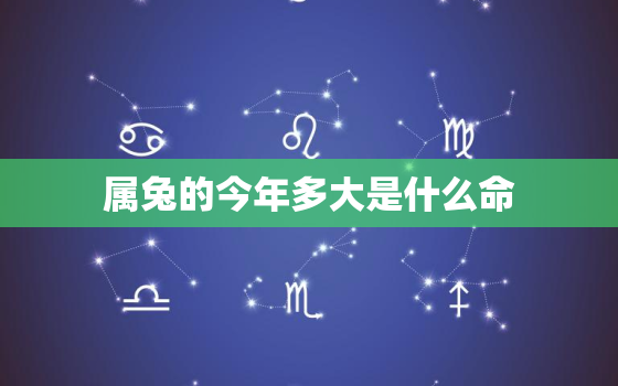 属兔的今年多大是什么命(2023年属兔人运势大揭秘)