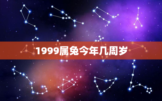 1999属兔今年几周岁(如何计算属兔人的年龄)