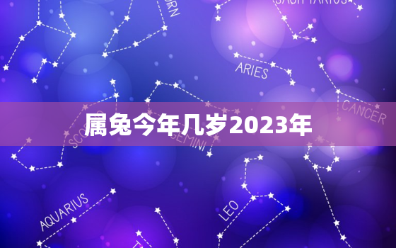 属兔今年几岁2023年(兔年人的年龄计算方法详解)