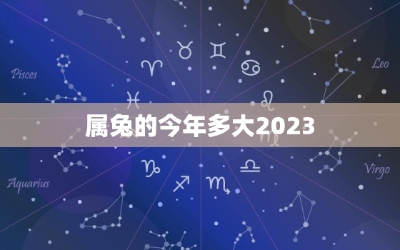 属兔的今年多大2023(兔年生肖人士的年龄计算方法解析)