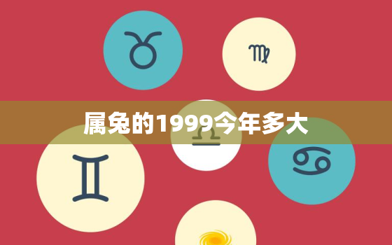 属兔的1999今年多大(2023年属兔人的年龄计算方法及注意事项)