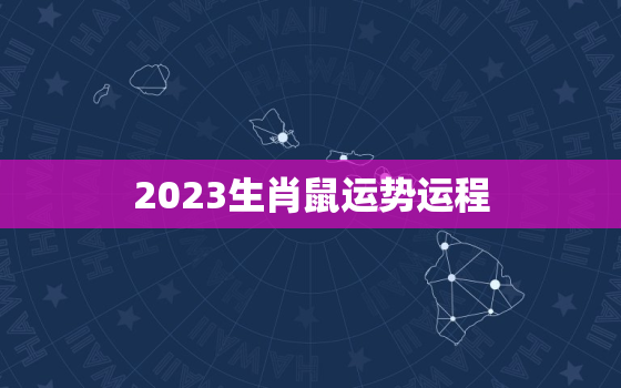 2023生肖鼠运势运程(好运连连财源滚滚)